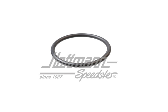 Dichtring, Vakuumpumpe/Zündverteiler Dichtring, Vakuumpumpe/Zündverteiler