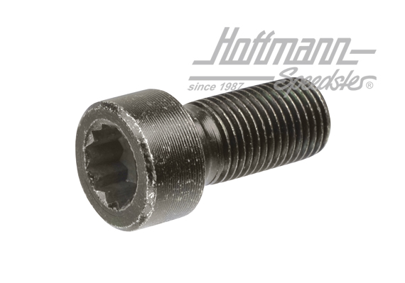Schraube, Schwungrad, M12x1,25x25.5mm