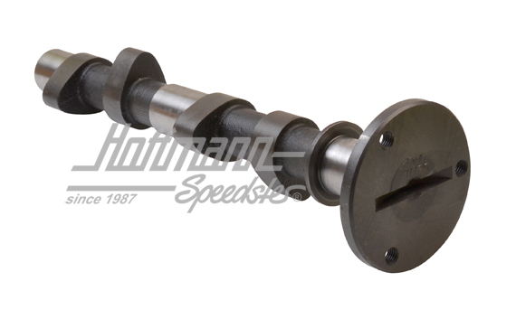 Nockenwelle, Engle, 295°/Hub 11.05, W120