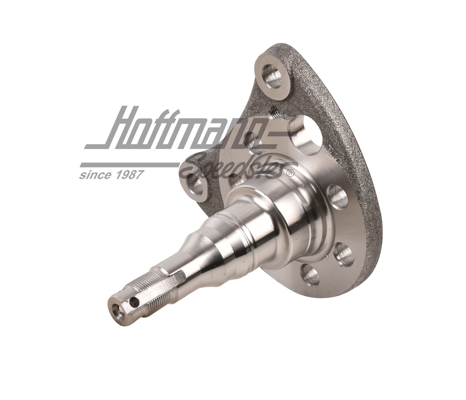 Achszapfen, hinten, Scheibenbremse, re. Achszapfen, hinten, Scheibenbremse, re.