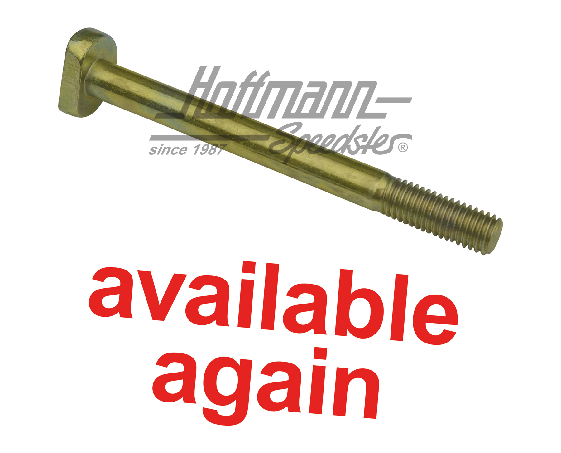 Hammerschraube, Motorbefestigung, M10x110