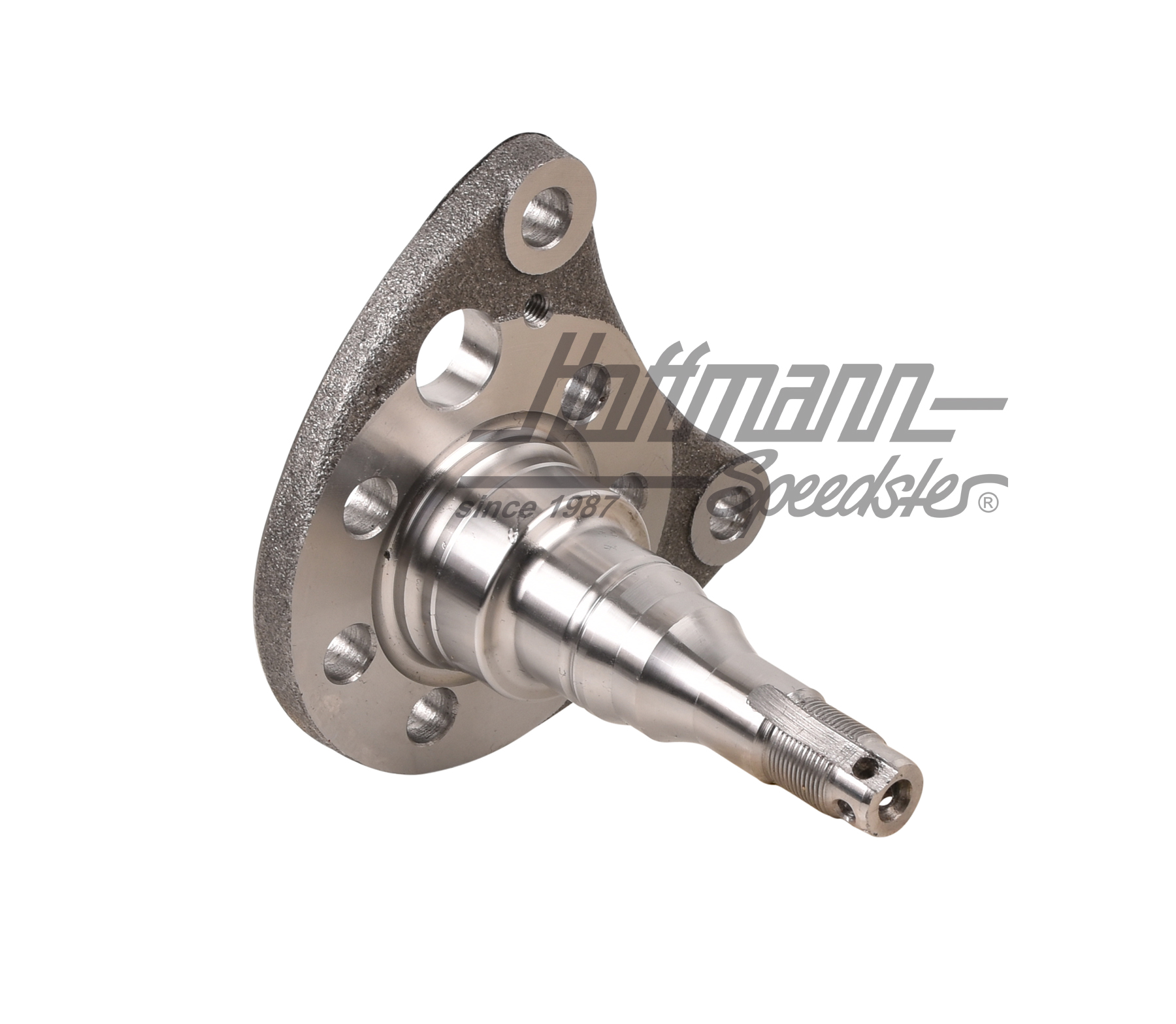 Achszapfen, hinten, Scheibenbremse, li. Achszapfen, hinten, Scheibenbremse, li.