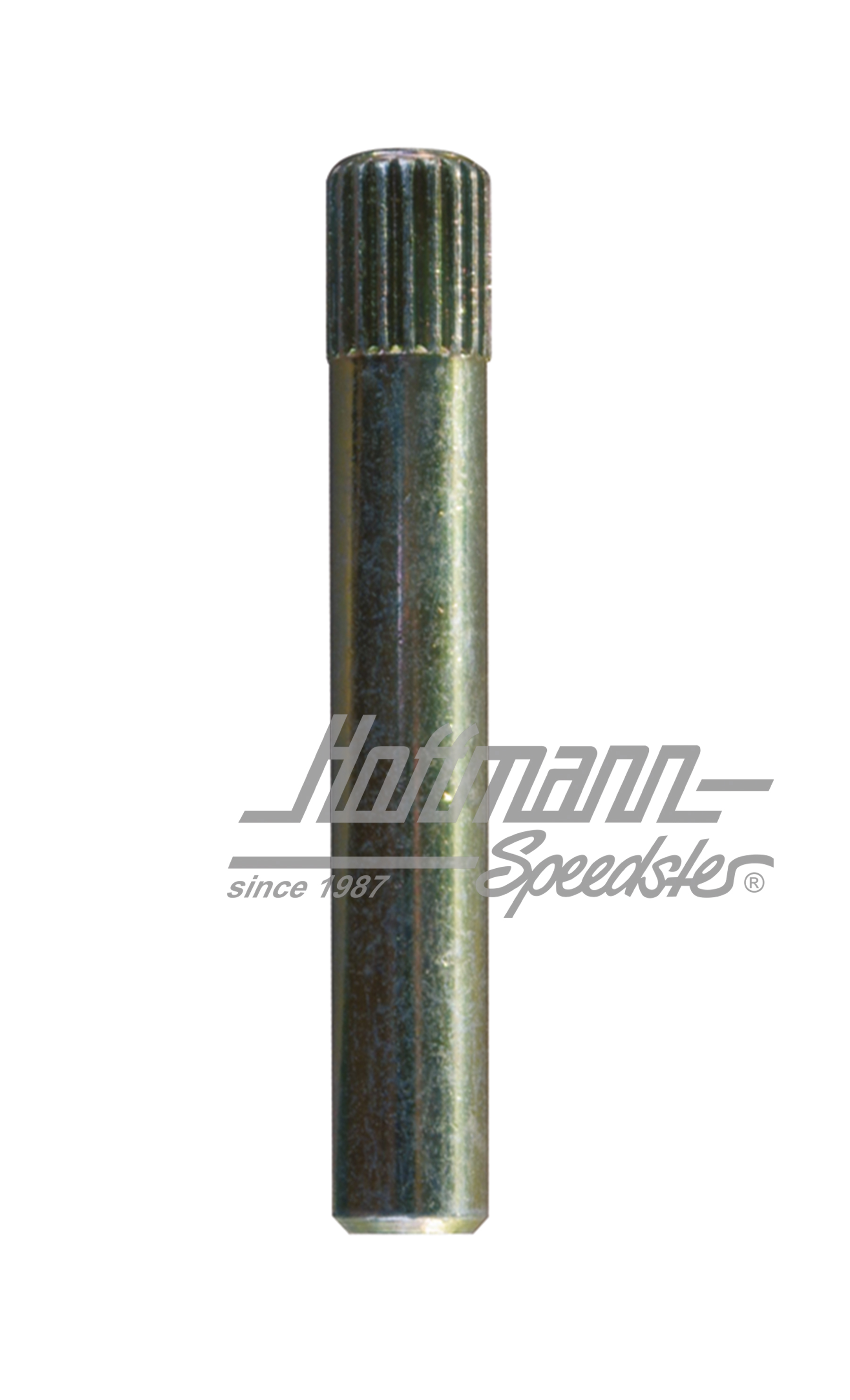 Türscharnierbolzen, ø8.1mm (1.Übermaß)